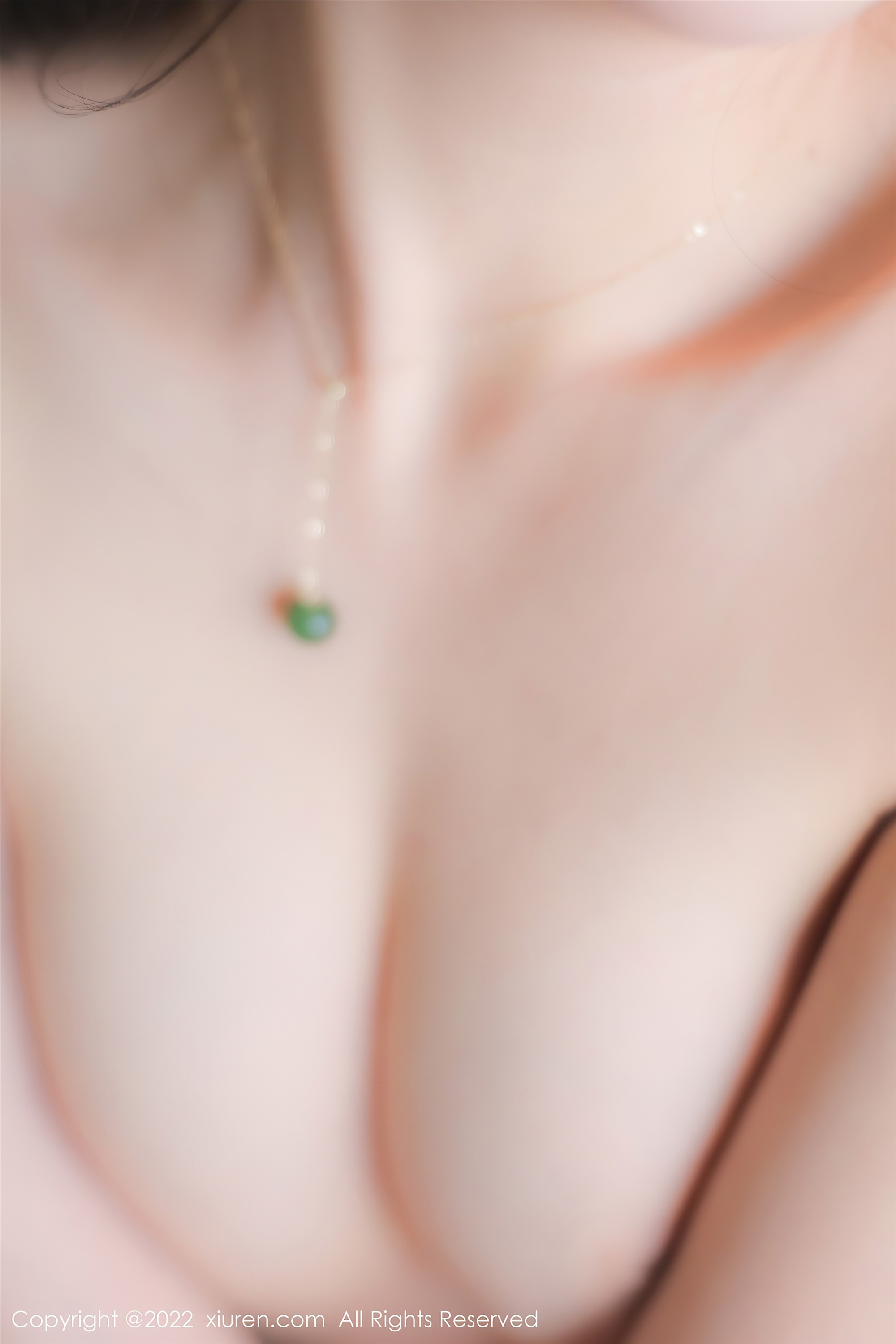 Xiuren秀人网 2022.12.12 NO.5982 浅浅Danny